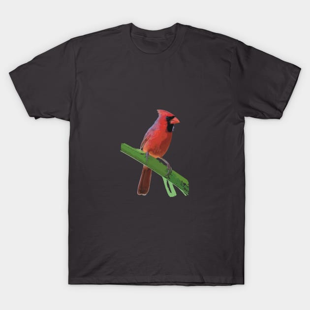 Northern Cardinal or Redbird T-Shirt by NadJac